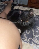 Анкета проститутки Инга - метро Замоскворечье, возраст - 25